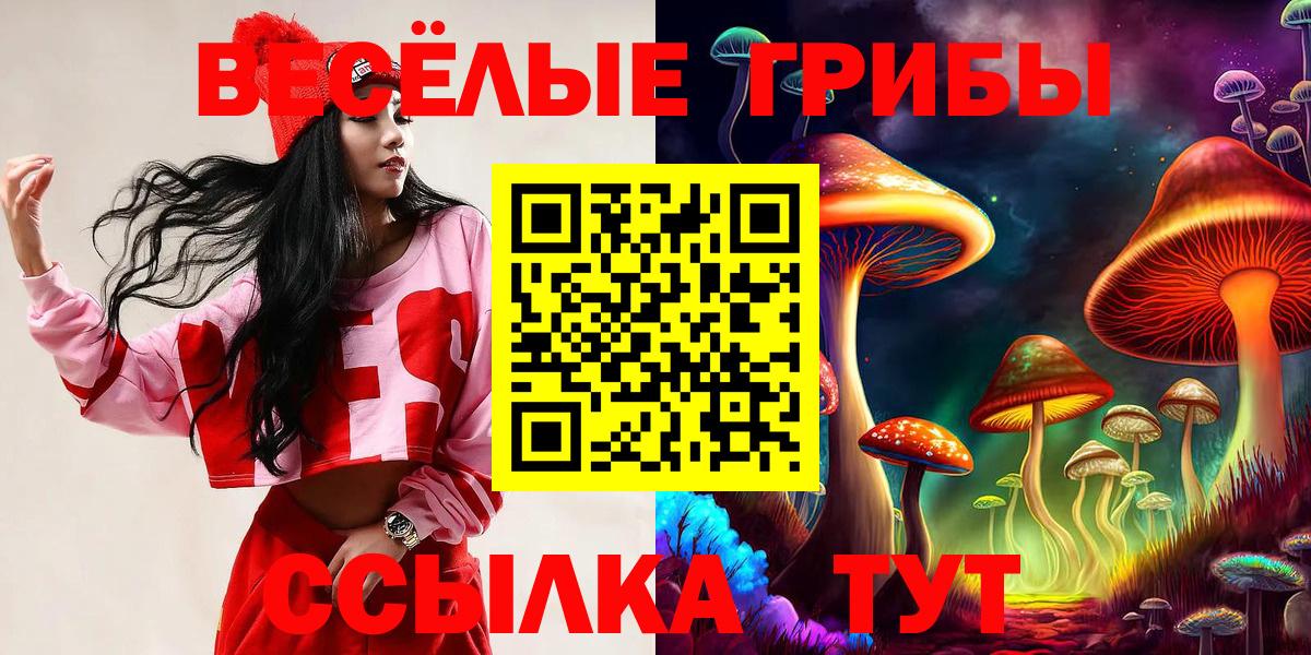 Псилоцибиновые грибы ЛСД Ачинск