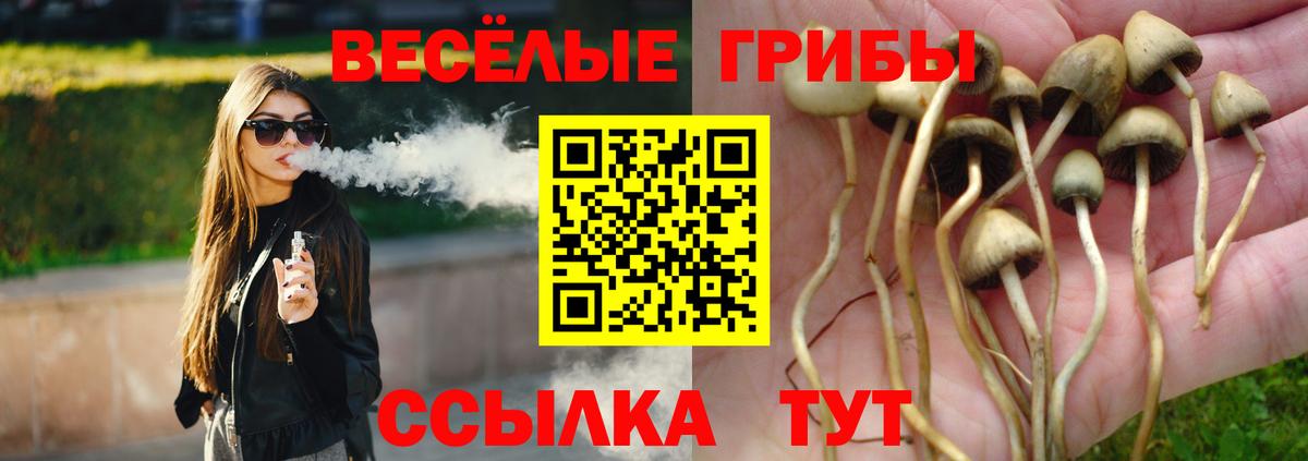 Псилоцибиновые грибы ЛСД  Вход с VPN  Ачинск 